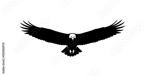 Majestic eagle soaring through the air with outstretched wings