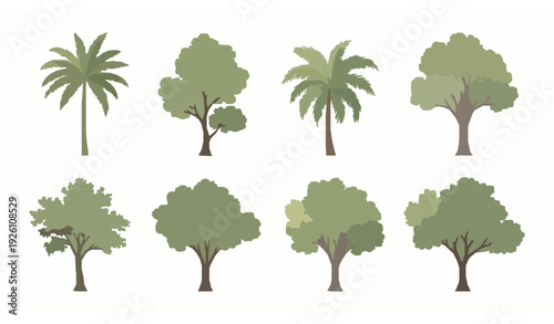 Hand painted tropical tree watercolor vector collection for landscape and architectural elevation isolated on white