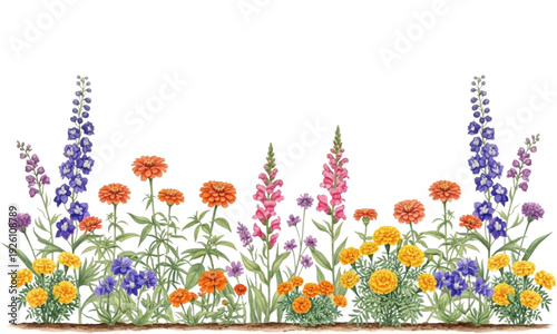 Botanical Wildflower Meadow Illustration