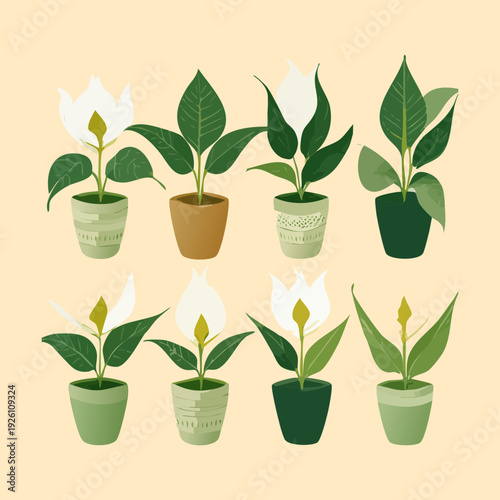 Elegant tall green leaf plants in simple clay pot set illustration plant for professional office interior decoration