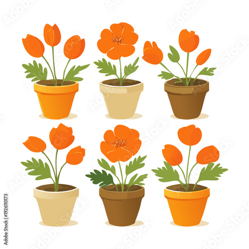 Orange poppy and red summer flowers in orange pot set illustration plant for vibrant sunny garden border