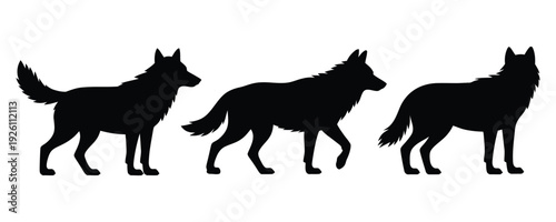 Three wolf silhouettes walking and standing on white background