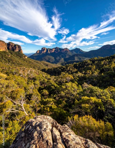 Stunning Scenic Vista of Blue Mountains National Park Under a Bright Blue Sky.