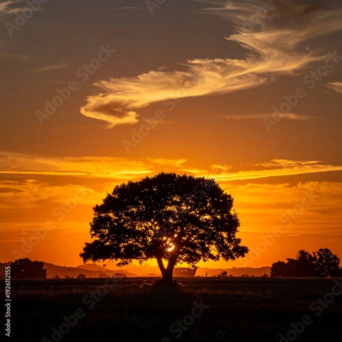 Stunning Silhouette of a Tree Against a Vibrant Sunset Sky, Landscape Photography.