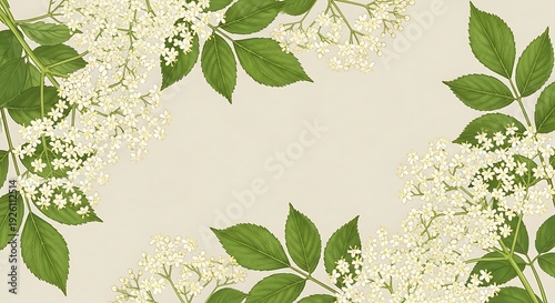 A floral pattern with white flowers and green leaves on a beige background