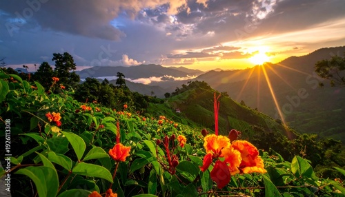 Stunning Sunrise Over Lush Green Mountains and Vibrant Orange Flowers.