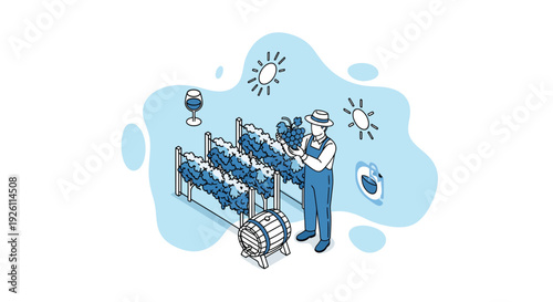 Farmer Inspecting Grapes on Vineyard Trellis.