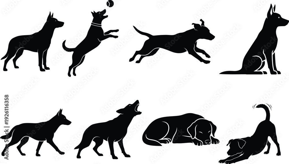 Obraz premium set of animals silhouettes