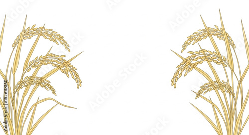 Golden Wheat Ears on White Background.