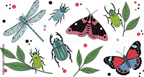 Insect and Butterfly Illustration Set with Dragonfly, Beetles, Moths, and Leaves for Nature and Wildlife Graphics