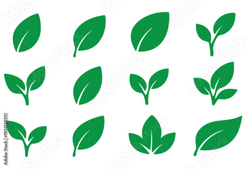 Green leaf icons set. Leaves icon on transparent background. Collection green leaf. Elements design for natural, eco, vegan, bio labels.