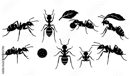 SEO Title
Black Ant Silhouette Vector Set with Different Poses Isolated Insect Clipart Collection