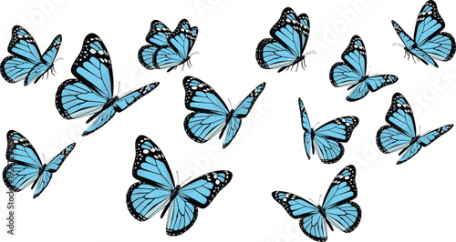 Blue Butterfly Collection in Different Flying Positions with Detailed Wings Isolated Vector Illustration Set