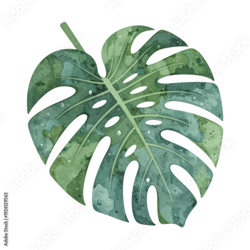 Watercolor monstera leaf with water droplets and abstract green texture