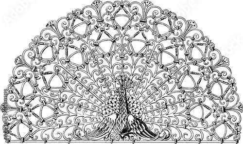 Beautiful Peacock Bird Illustration Vector