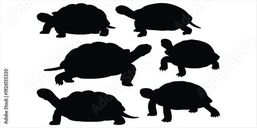 Tortoise Silhouettes in Various Poses untitled