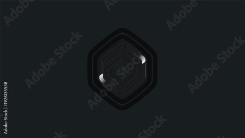 A dark hexagonal gem with reflective highlights.