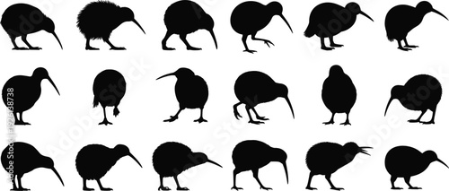 Multiple Black Silhouettes of Kiwi Birds Displaying Various Actions and Perspectives animal wildlife