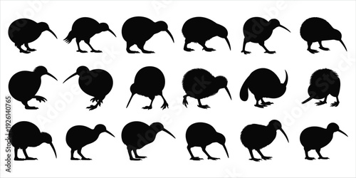 Collection of Black Silhouettes of Kiwi Birds in Different Poses and Angles animal wildlife