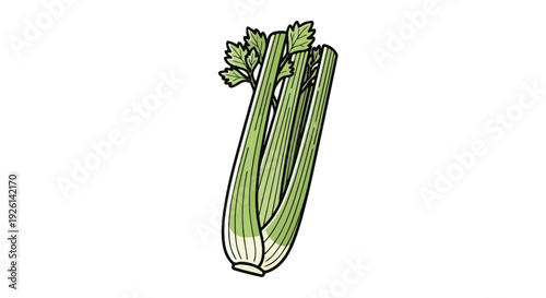 Fresh Green Celery Vegetable Closeup.
