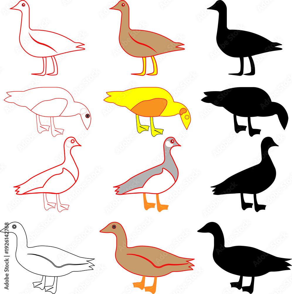 Obraz premium A cute collection of funny cartoon bird featuring a set of wild animal illustrations with artful wing designs 