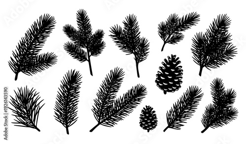 Black pine branch silhouette vector set with botanical foliage and pinecone elements isolated on white background