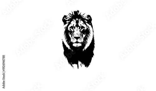 Majestic Lion Emerging from Fog Black and White Wildlife Photo on White Background