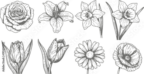 Trendy halftone flower collage with bold petals and retro comic dot texture