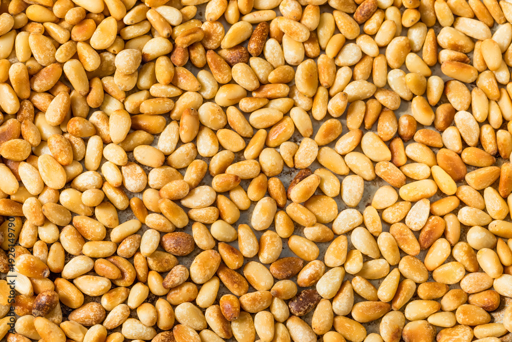 Fototapeta premium Organic Cooked Roasted Pine Nuts