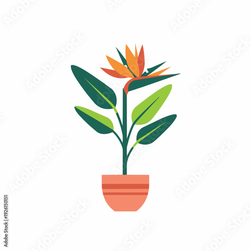 Vibrant illustration of an exotic Bird of Paradise flower, showcasing its distinctive orange blooms and lush green foliage in a terracotta pot, ideal for botanical design concepts