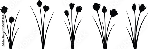 Set of Minimalist black flowering chive stalk silhouette vector icon