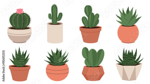 Diverse collection of green cactus plants in various decorative pots, featuring different species and growth habits for home decor.