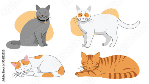 Collage of different cat breeds including gray, white, orange tabby, and calico, shown in various sitting and sleeping positions.