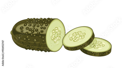 Realistic illustration of a whole green gherkin pickle and two round slices showing inner texture and seeds on a white background.