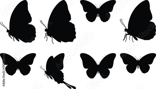 Graceful silhouettes of diverse butterflies in black against a white background