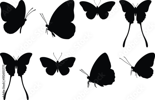 Elegant silhouettes of diverse butterflies in flight against a plain background