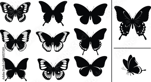 Set of Silhouettes Featuring Athletic Gymnasts Performing Handstands Human Male Body Anatomy Proportions and Decorative Butterfly Wing Shapes on White Background