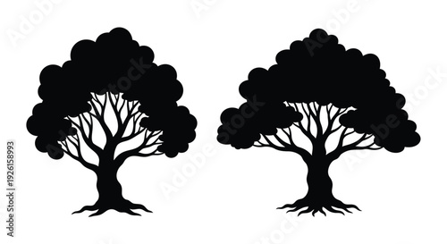 Two dark trees with detailed branches presented as a silhouette