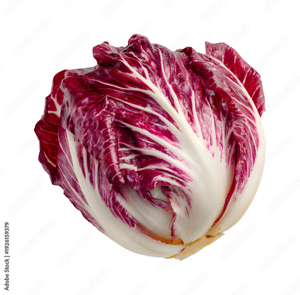 Obraz premium Fresh red radicchio head with vibrant color and crisp texture isolated on transparent background