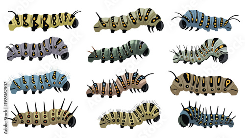 Diverse collection of colorful caterpillars in various stages of growth, showcasing insects and natural life cycles.