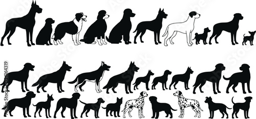 Active people dancing party silhouettes, diverse group of men and women celebrating, happy friends enjoy disco night club event life.