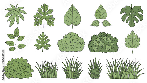 Diverse collection of various green leaves and lush bushes in a hand-drawn style, representing nature, gardening, and plant life.