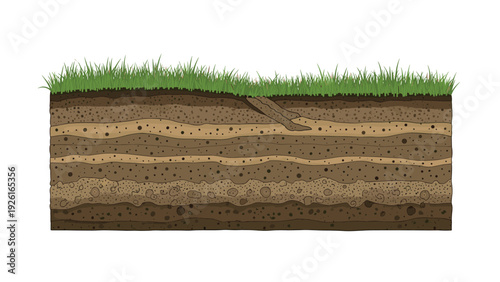 Detailed cross-section of various soil layers, showcasing different geological strata and a lush green grass covering on top.