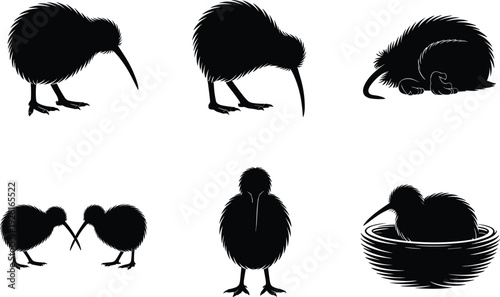 Black and White New Zealand Kiwi Bird Vector Silhouette Set Featuring Kiwi Foraging Sleeping Nesting and Standing Icons for National Symbol and Wildlife Nature Design