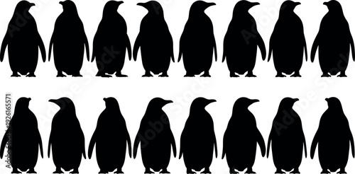 Set of isolated black penguin silhouettes standing together on white background for wildlife nature conservation and animal vector design illustration.