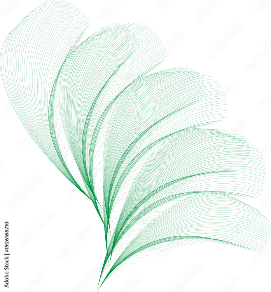 green leaf with heart