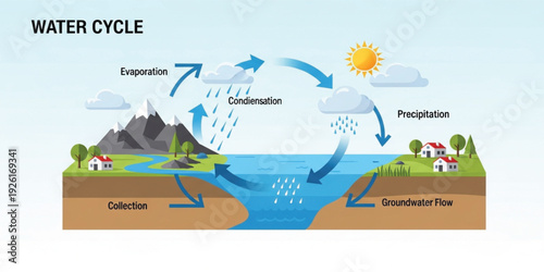 Water Cycle Diagram with Evaporation Condensation Precipitation Collection and Groundwater Flow Educational Infographic for Hydrology Climate Science and Geography Learning