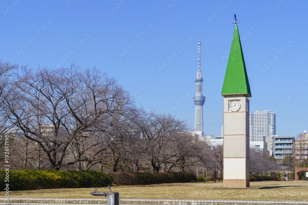Obraz premium 日本の風景【東京都】猿江恩賜公園・中央広場の時計塔とスカイツリー(冬)