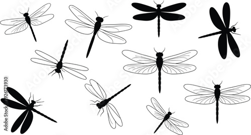 Dragonfly insect silhouettes and detailed wing illustrations in various poses for nature, wildlife, entomology, and design themes