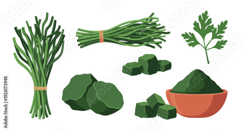 Assortment of fresh and processed green food products, featuring herb bunches, a parsley leaf, frozen vegetable cubes, and a bowl of green powder.